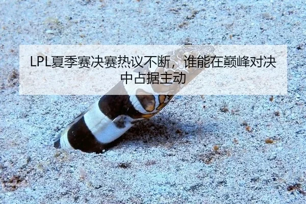 LPL夏季赛决赛热议不断，谁能在巅峰对决中占据主动
